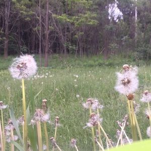 Meet your Posher, Faith